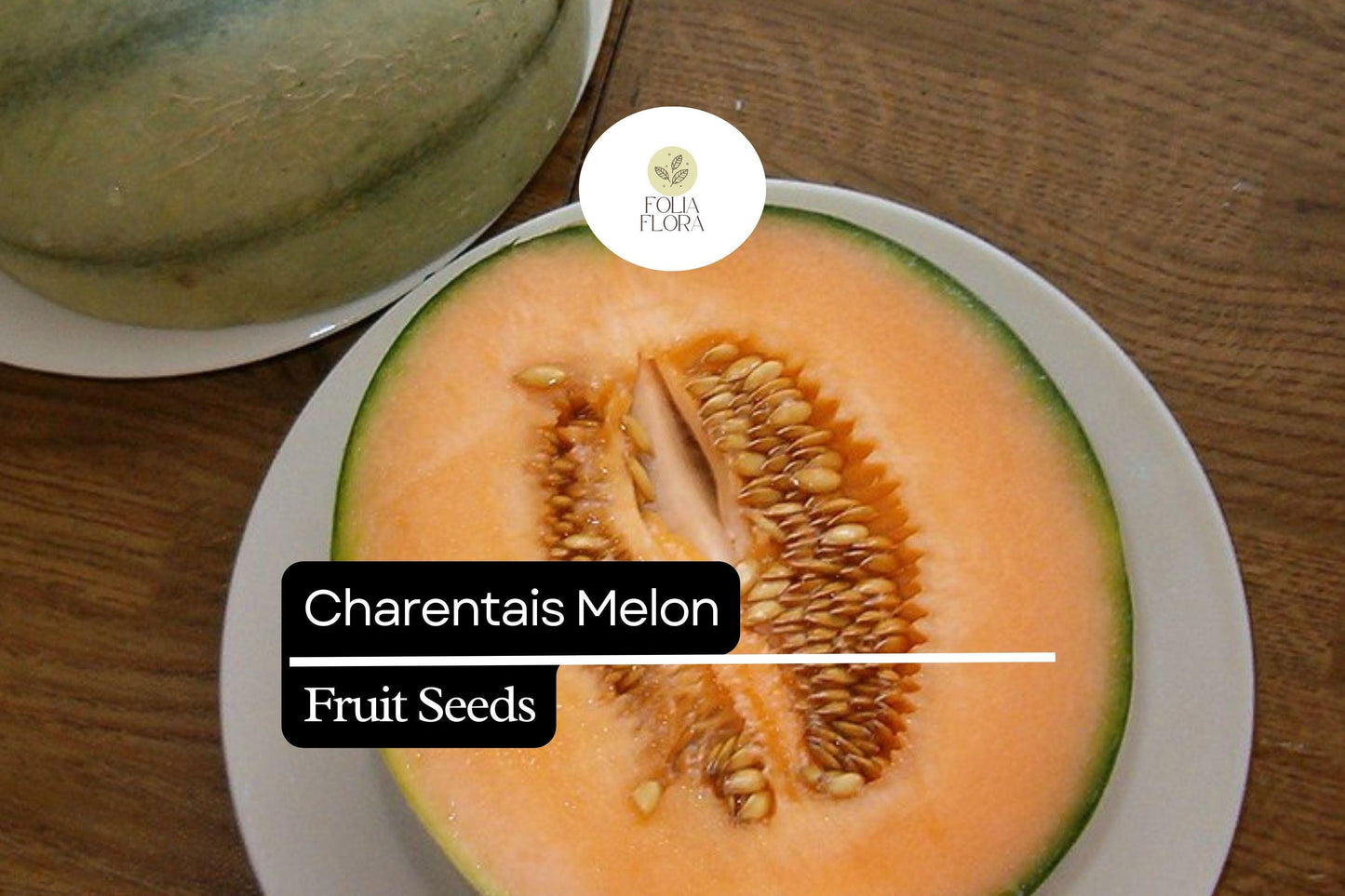 25 Seeds Charentais Melon (Cucumis melo) – French Heirloom Melon with Sweet, Fragrant Flesh
