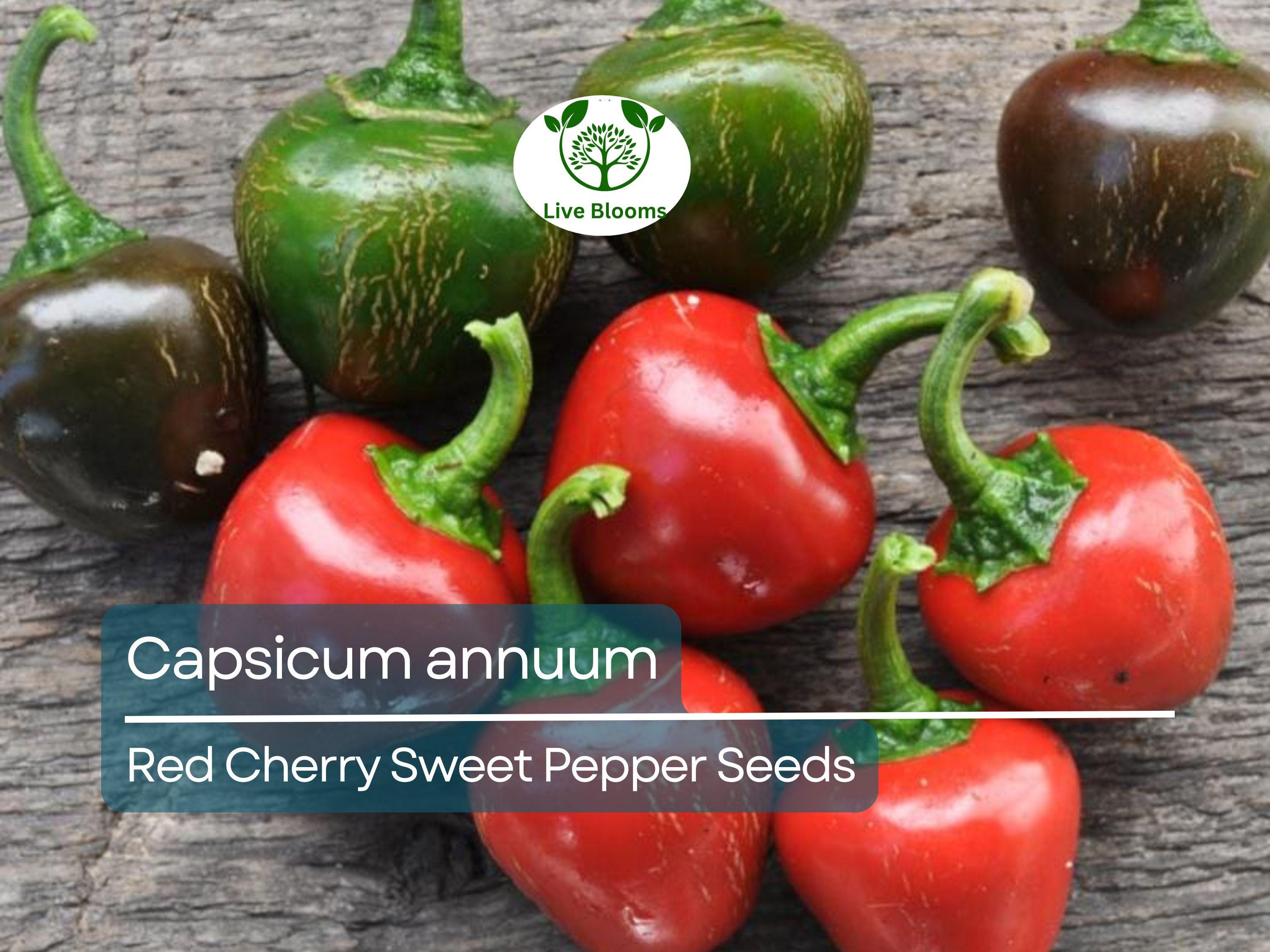 250 mg Red Cherry Sweet Pepper Seeds - Capsicum annuum | Heirloom Sweet Pepper for Planting, Home Garden & Culinary Use, Small Round Peppers