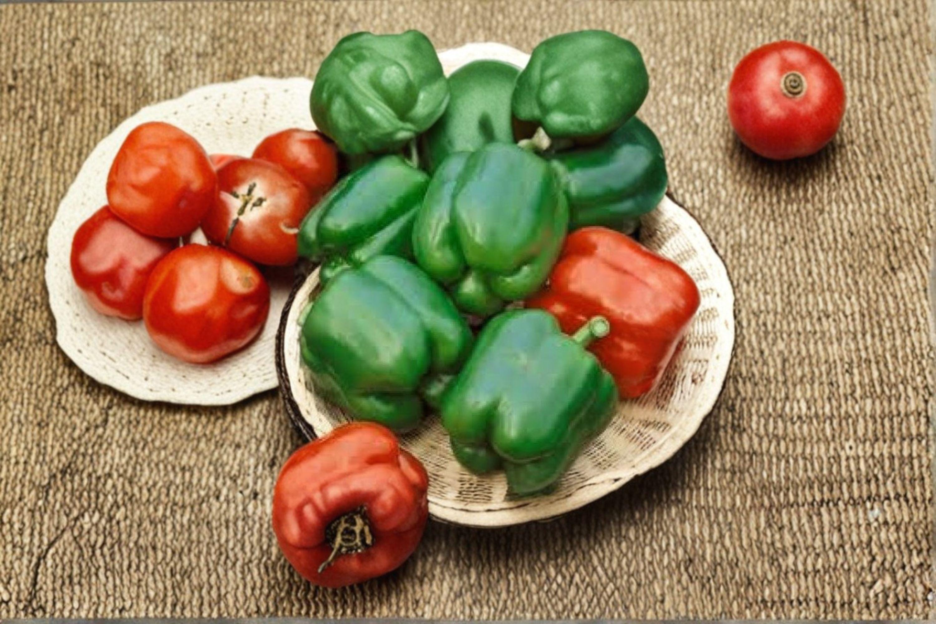 Sweet Pepper – Yolo Wonder Bell Improved 30 Seeds | Improved Heirloom Bell Pepper | Large Blocky Fruits | Sweet & Reliable