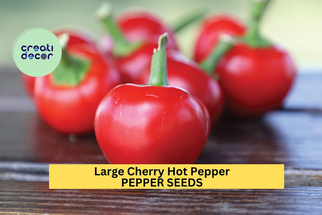 3pcs of 250mg Large Cherry Hot Pepper Seeds – Heirloom Spicy Round Peppers for Containers & Garden Planting Seeds for Planting