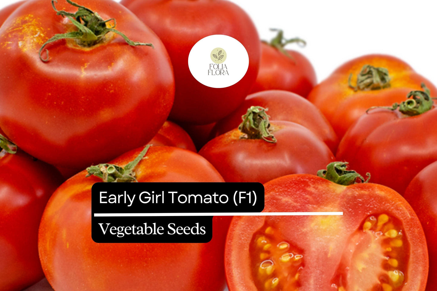 10 Seeds Early Girl Tomato (F1 Hybrid) – Fast-Maturing, Sweet, and Juicy Tomato Variety