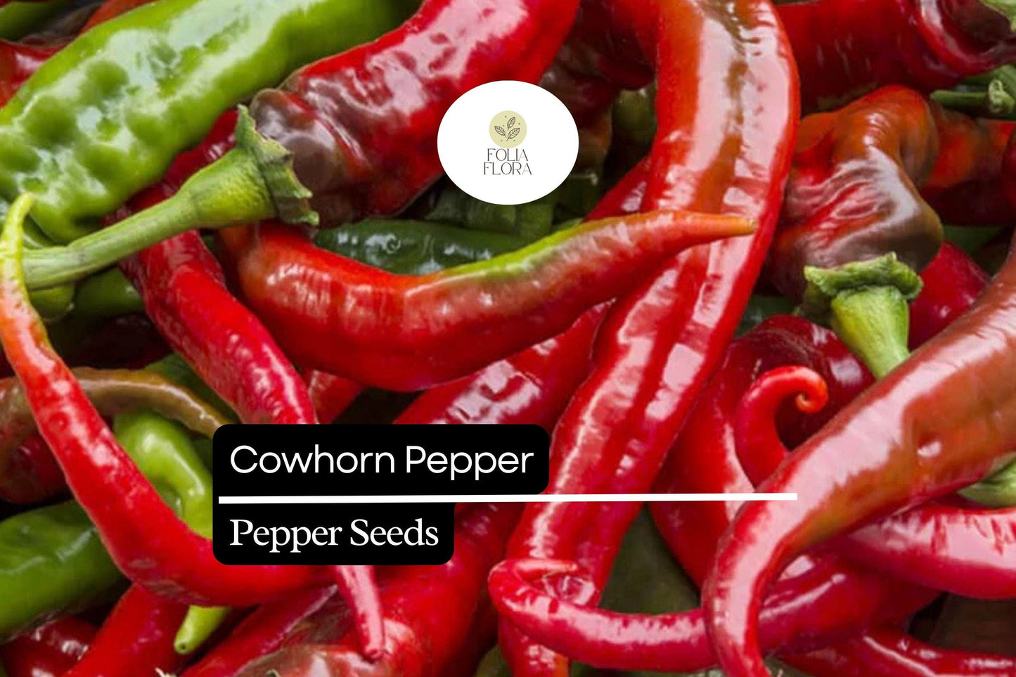 25 Cowhorn Pepper Seeds – Capsicum annuum – Heirloom, Spicy & Flavorful, High-Yielding, Perfect for Fresh Eating