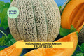 3pcs of 1g Hales Best Jumbo Melon Seeds – Sweet Cantaloupe Variety for Summer Gardens, Containers & Outdoor Planting Seeds for Planting