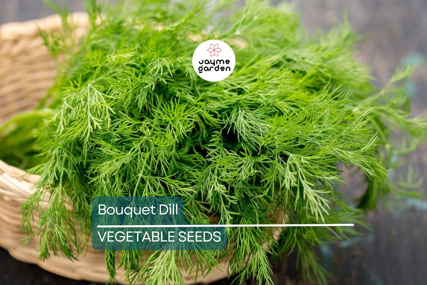 4,000 Bouquet Dill Seeds – Non-GMO Heirloom, Fast-Growing Culinary Herb, USA Seller, Free Shipping