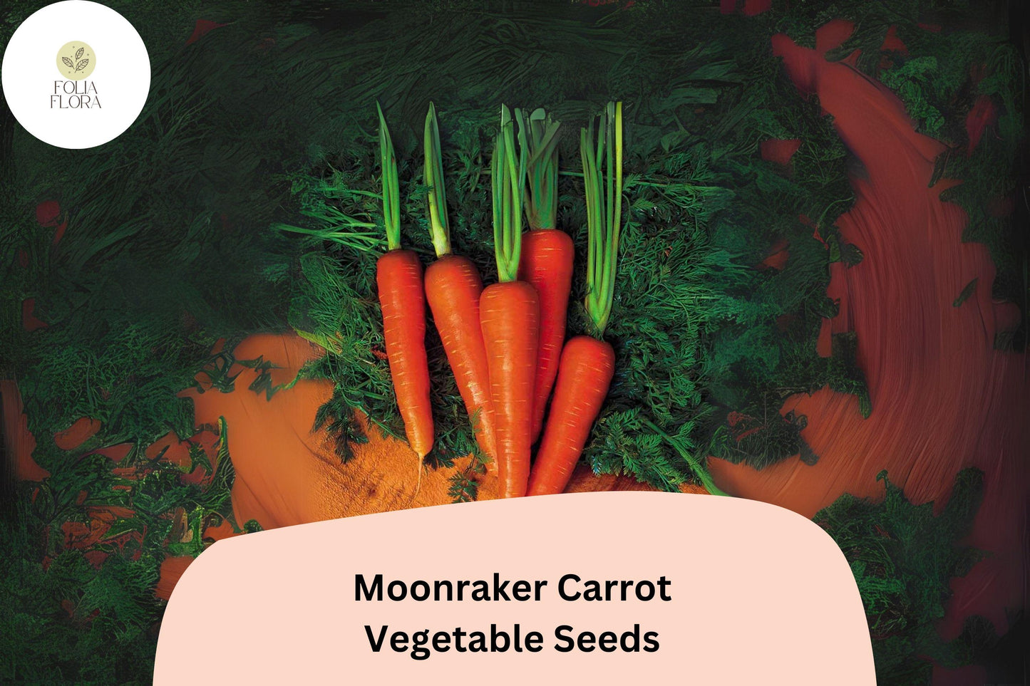 1000+ Moonraker Carrot Seeds – Sweet, Crisp, White Heirloom Carrots