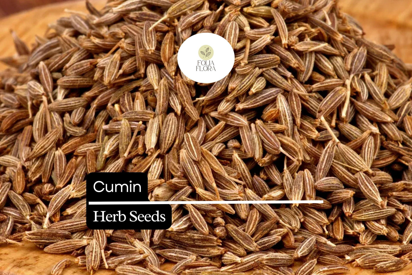 250 Seeds Cumin (Cuminum cyminum) – Aromatic Spice Herb for Cooking