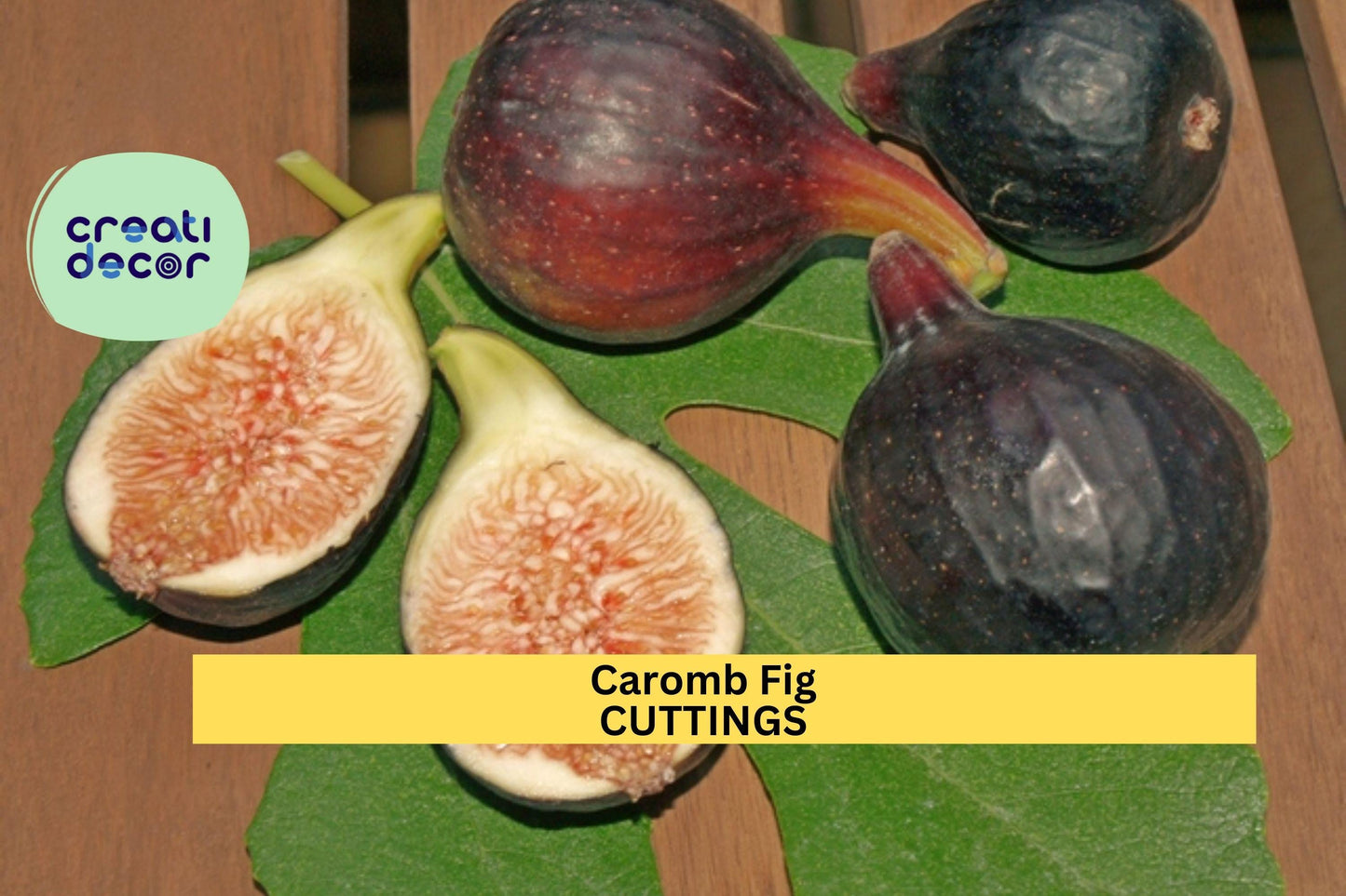 2 Noire de Caromb Fig Cuttings – Rare French Ficus carica Variety | Sweet Black Fig for Grafting or Rooting | Fresh & Ready to Grow
