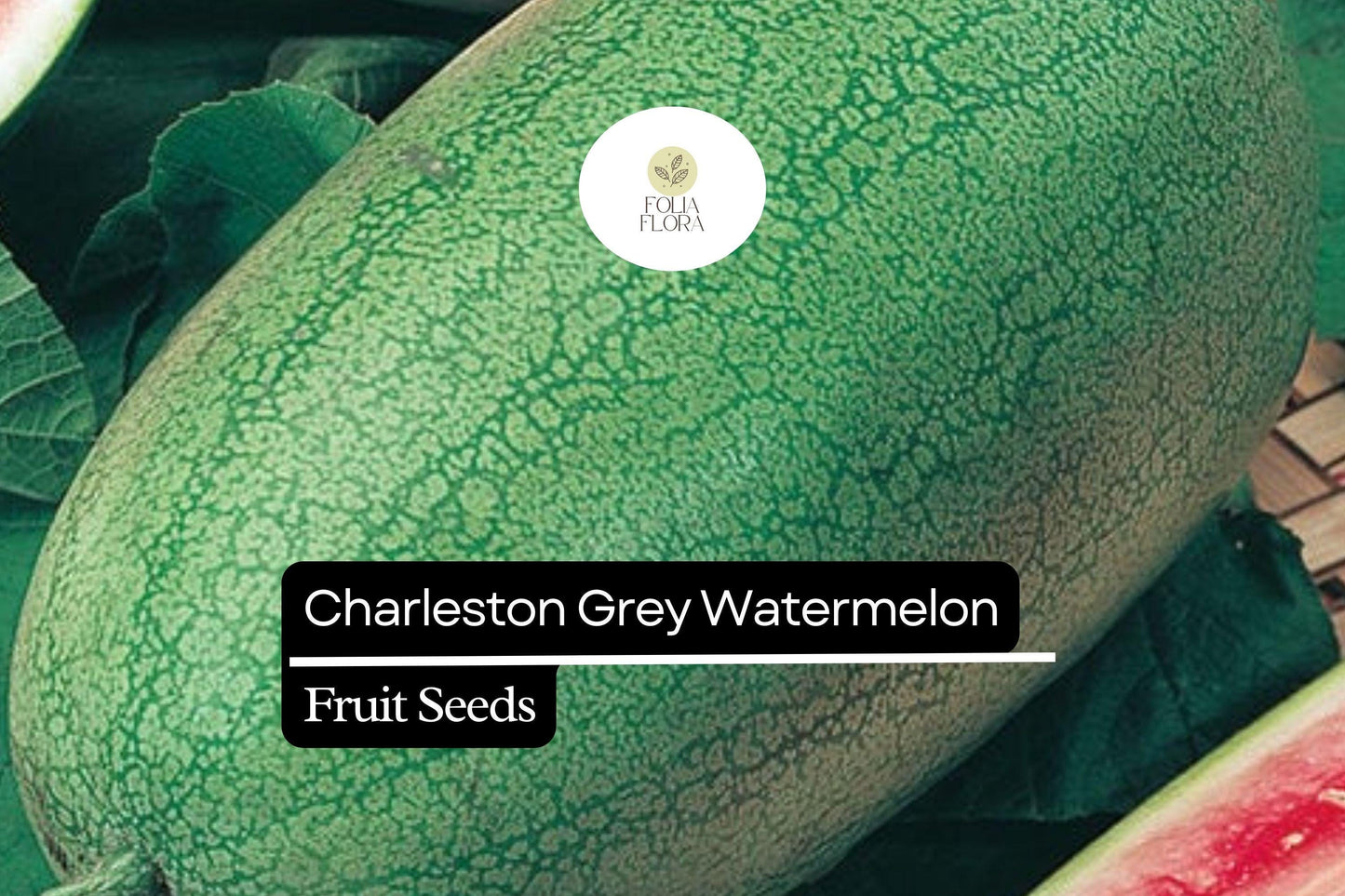 20 Seeds Charleston Grey Watermelon (Citrullus lanatus) – Sweet, Juicy, Classic Summer Favorite