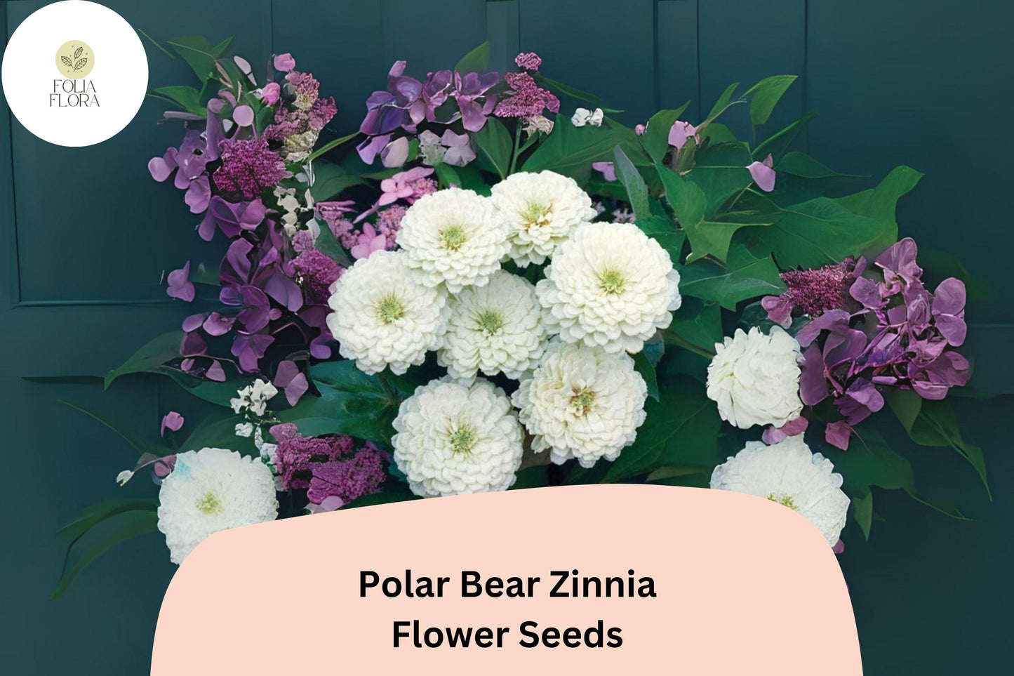 Polar Bear Zinnia Seeds – 100+ Pure White Annual Garden Flowers for Planting
