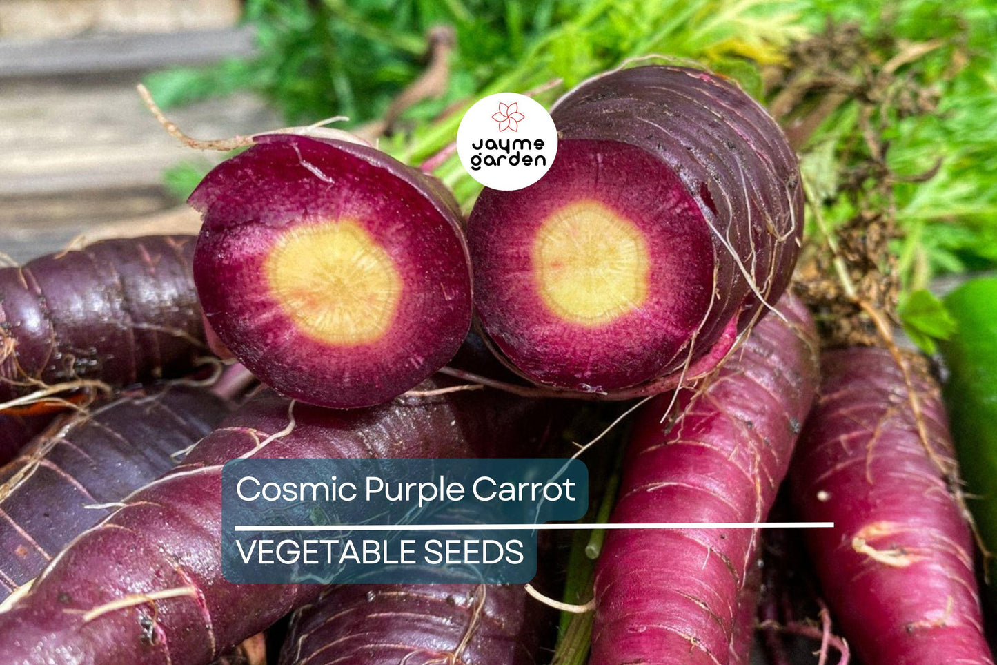 1,000 Cosmic Purple Carrot Seeds – Non-GMO, Open Pollinated, Great for Microgreens | USA Seller