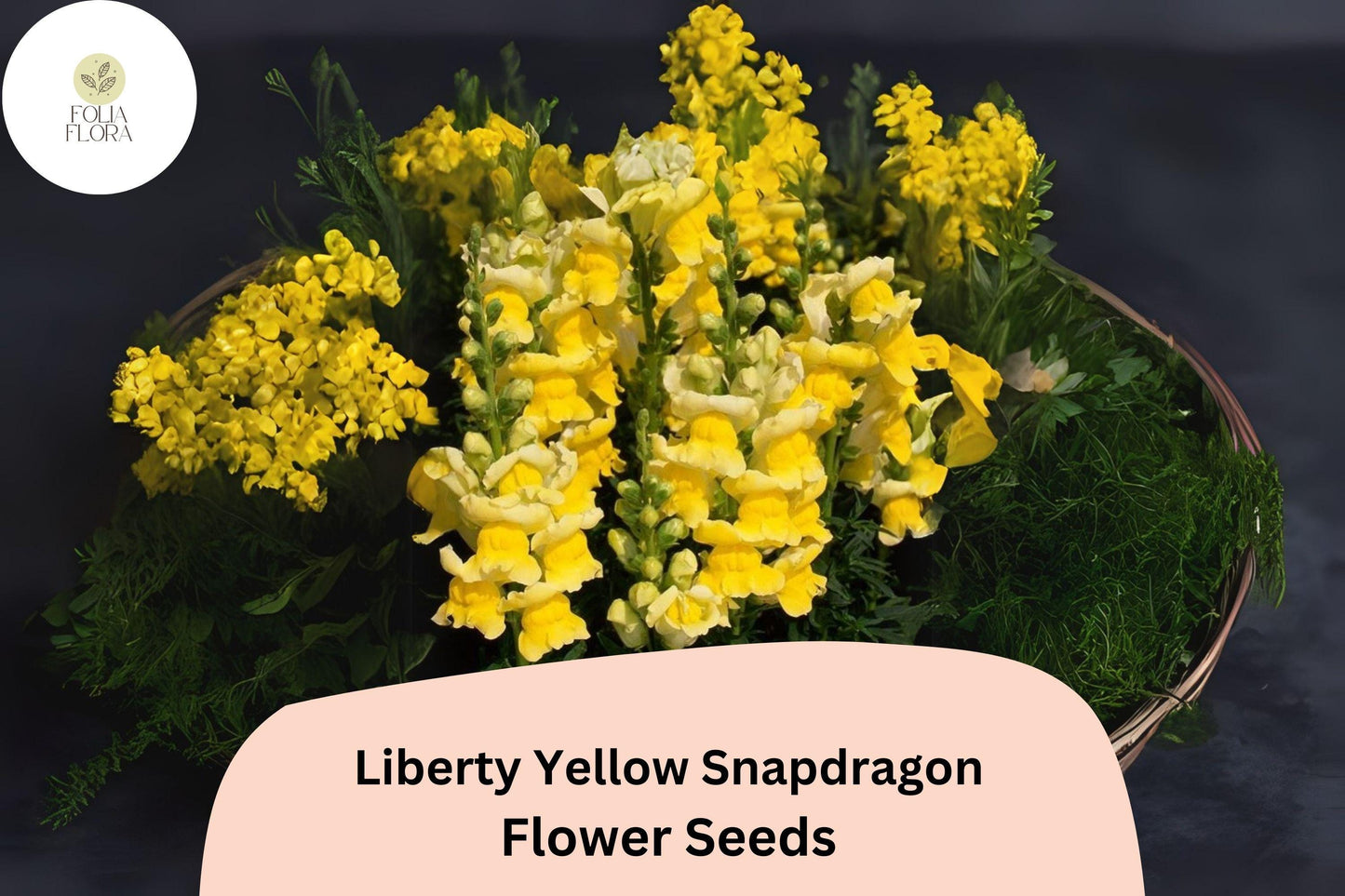 Antirrhinum majus Liberty Yellow Snapdragon Seeds – 1000+ Bright Yellow Blooms for Garden & Cut Flowers