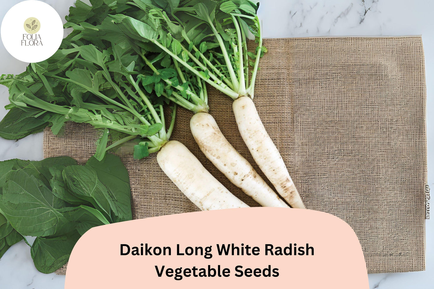 500+ Daikon Long White Radish Seeds – Heirloom Asian Radish for Garden Planting