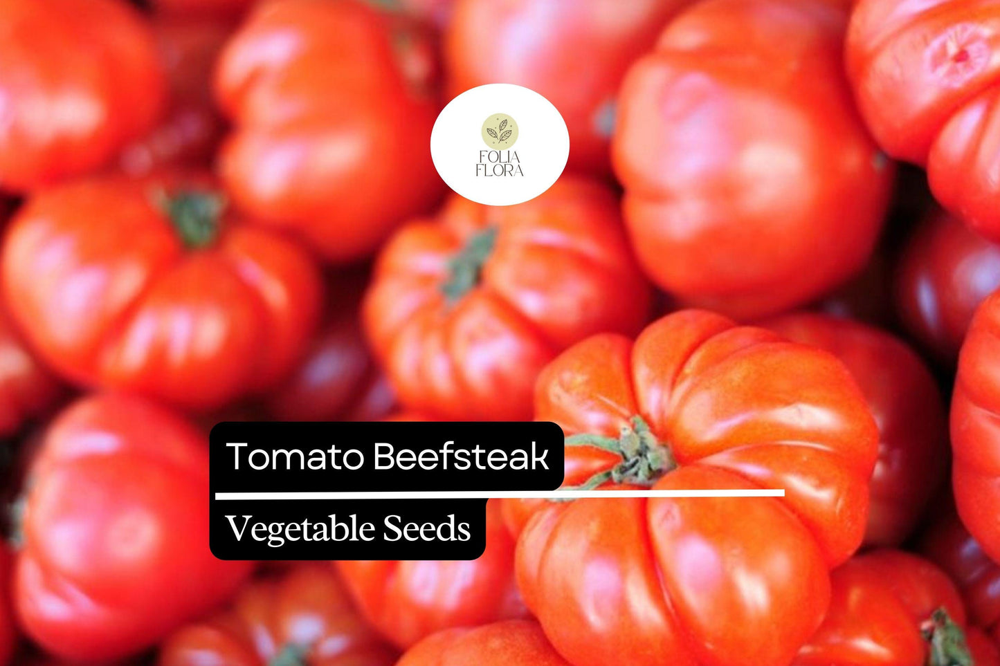 300mg Tomato Beefsteak Seeds Solanum lycopersicum | Heirloom, Juicy & Large Fruits, Non-GMO Vegetable, Perfect for Slicing and Sandwiches
