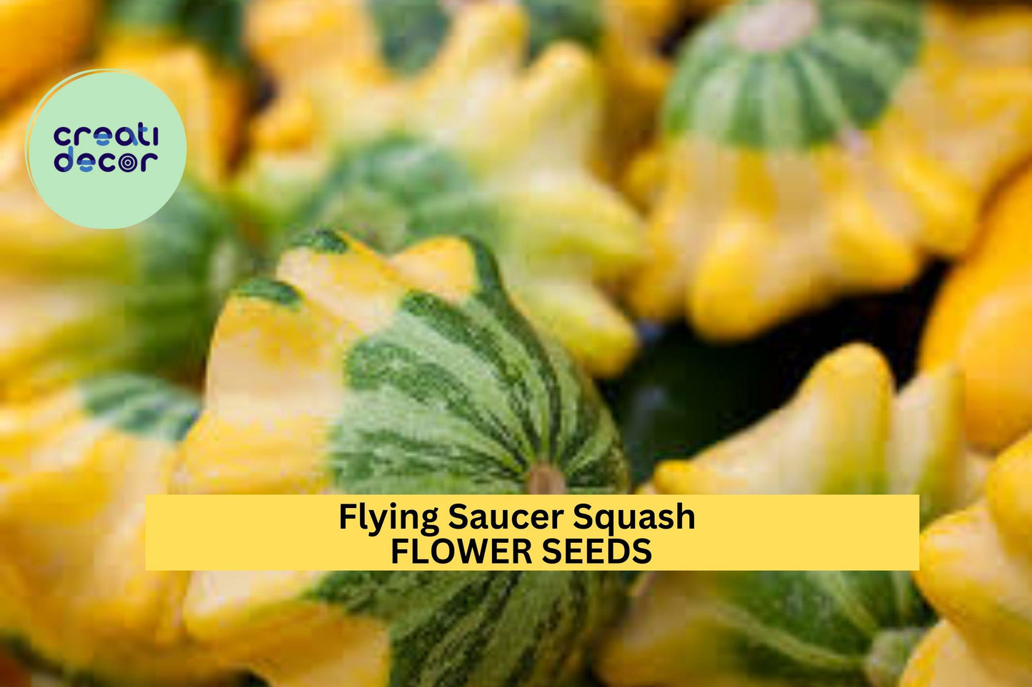 25+ Flying Saucer Squash Seeds – Uniquely Shaped Yellow & Green Pattypan Squash for Garden Planting, Edible Summer Variety – USA