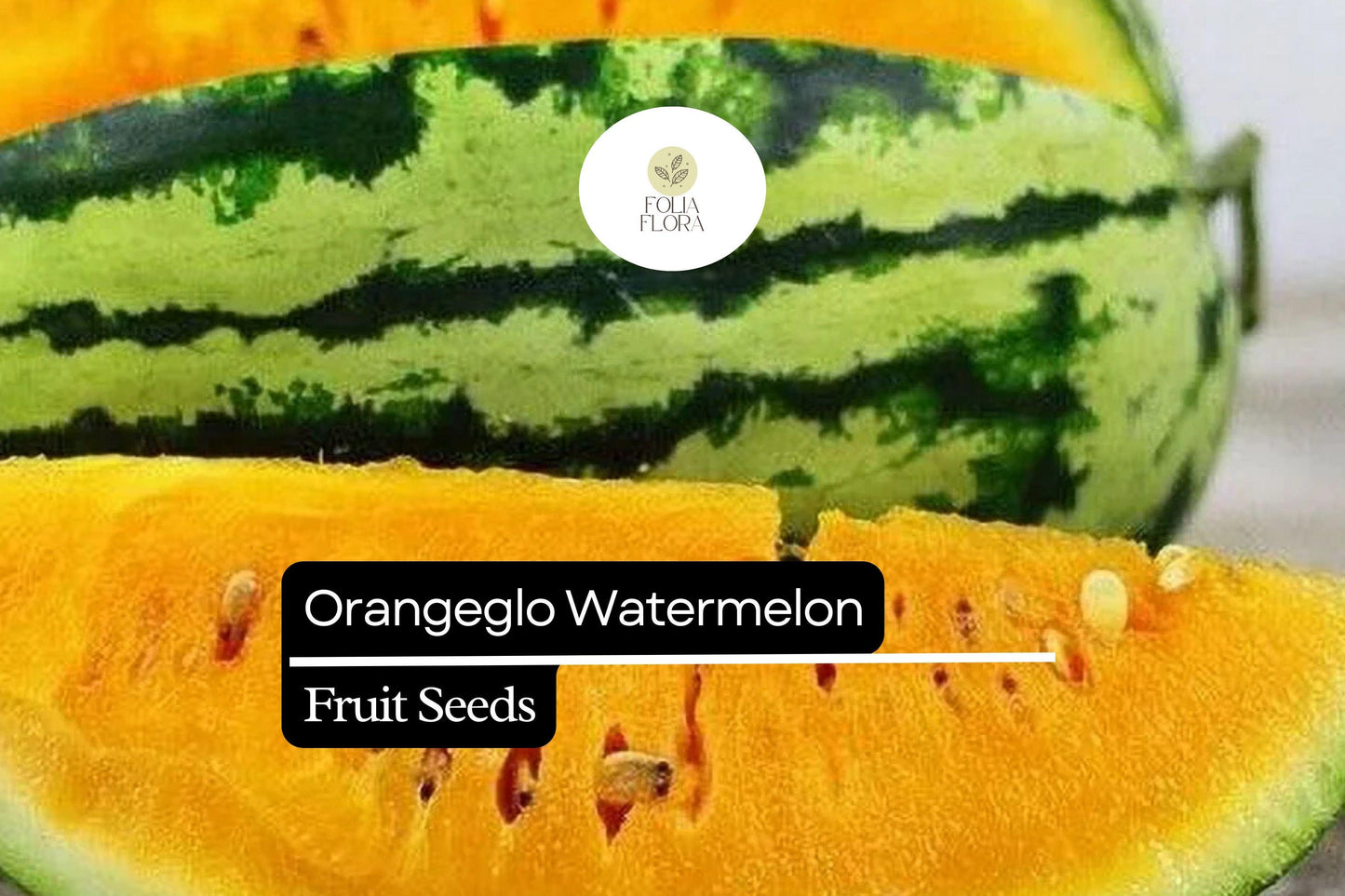 10 Seeds Orangeglo Watermelon, Citrullus Lanatus, Sweet Orange Flesh Melon