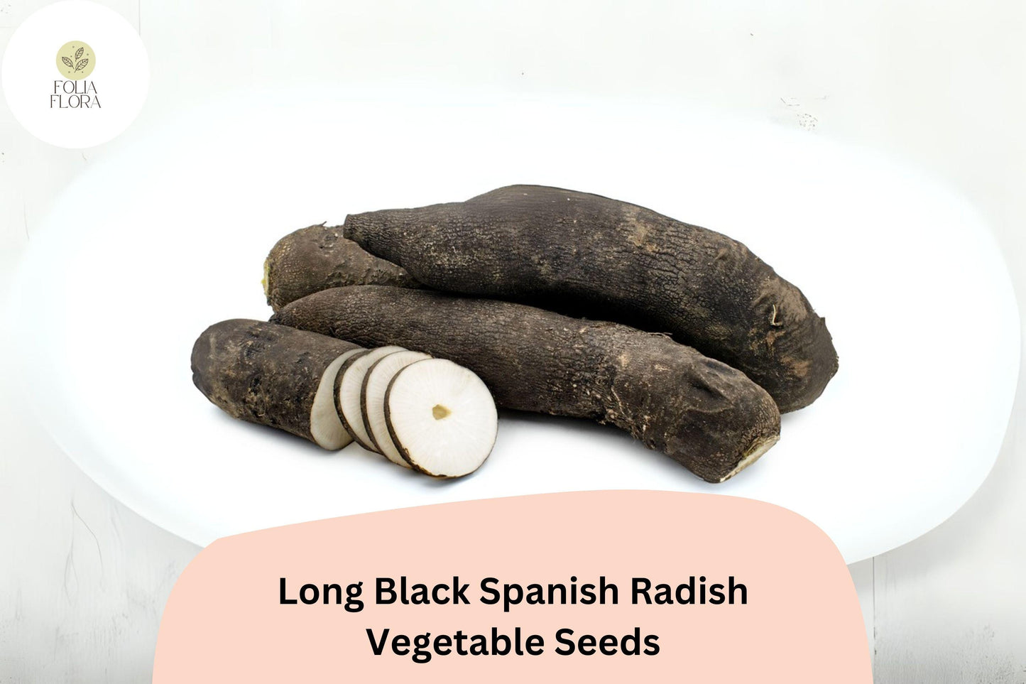500+ Long Black Spanish Radish Seeds – Heirloom Winter Radish for Garden Planting