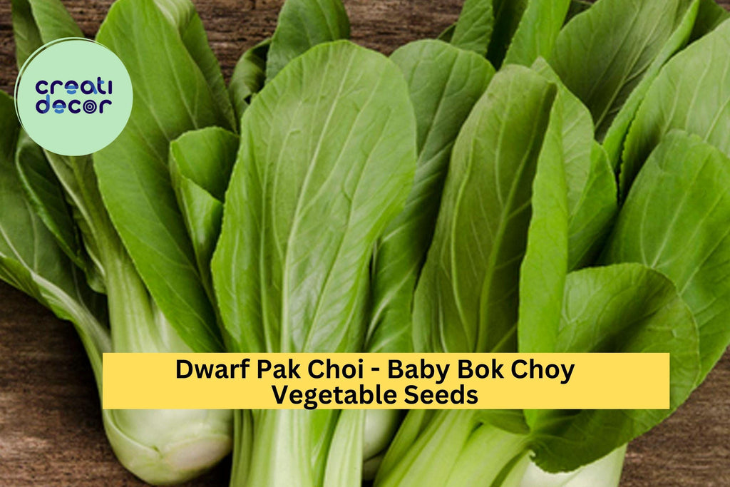 3pcs of 500mg Baby Bok Choy Seeds – Dwarf Pak Choi Variety for Tender Greens, Container Gardening & Asian Dishes Seeds for Planting