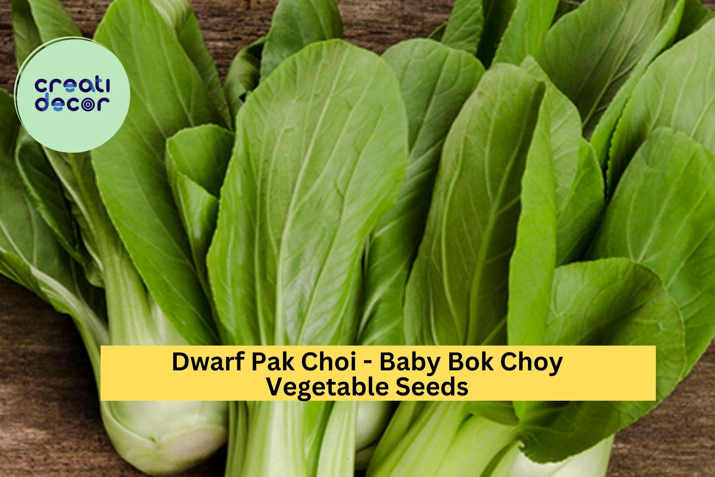 3pcs of 500mg Baby Bok Choy Seeds – Dwarf Pak Choi Variety for Tender Greens, Container Gardening & Asian Dishes Seeds for Planting