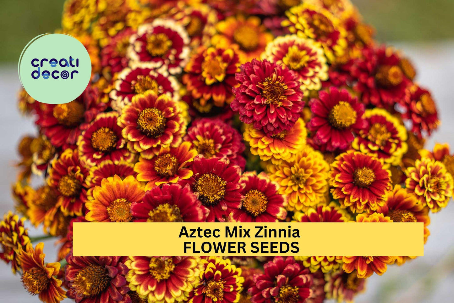 100+ Aztec Mix Zinnia Seeds – Vibrant Multi-Color Blooms for Garden Planting, Heat-Tolerant Flowers for Beds & Pollinators – USA