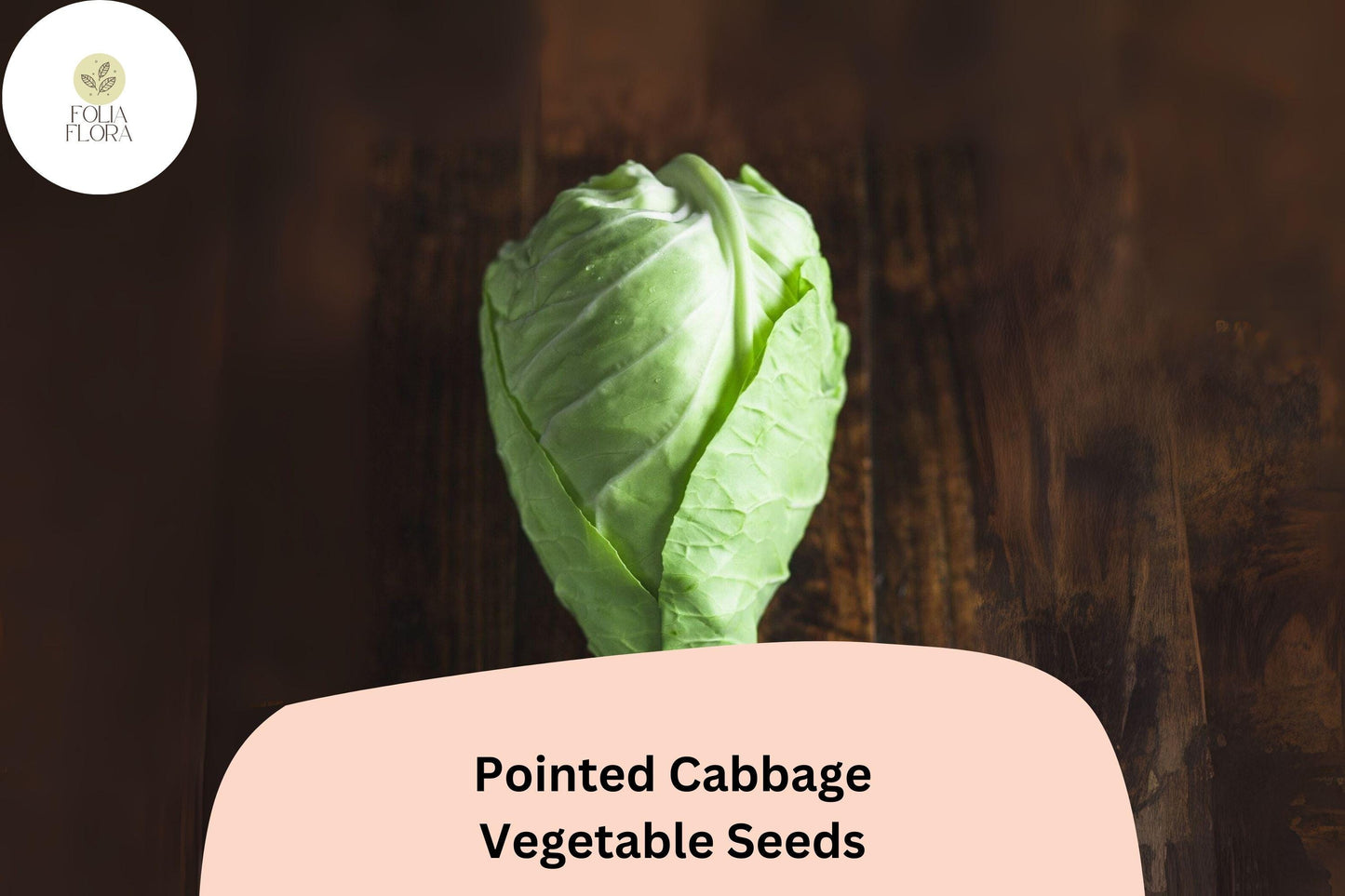 500+ Pointed Cabbage Seeds | Brassica oleracea | Heirloom Cone-Shaped Sweet Tender Cabbage for Garden Planting