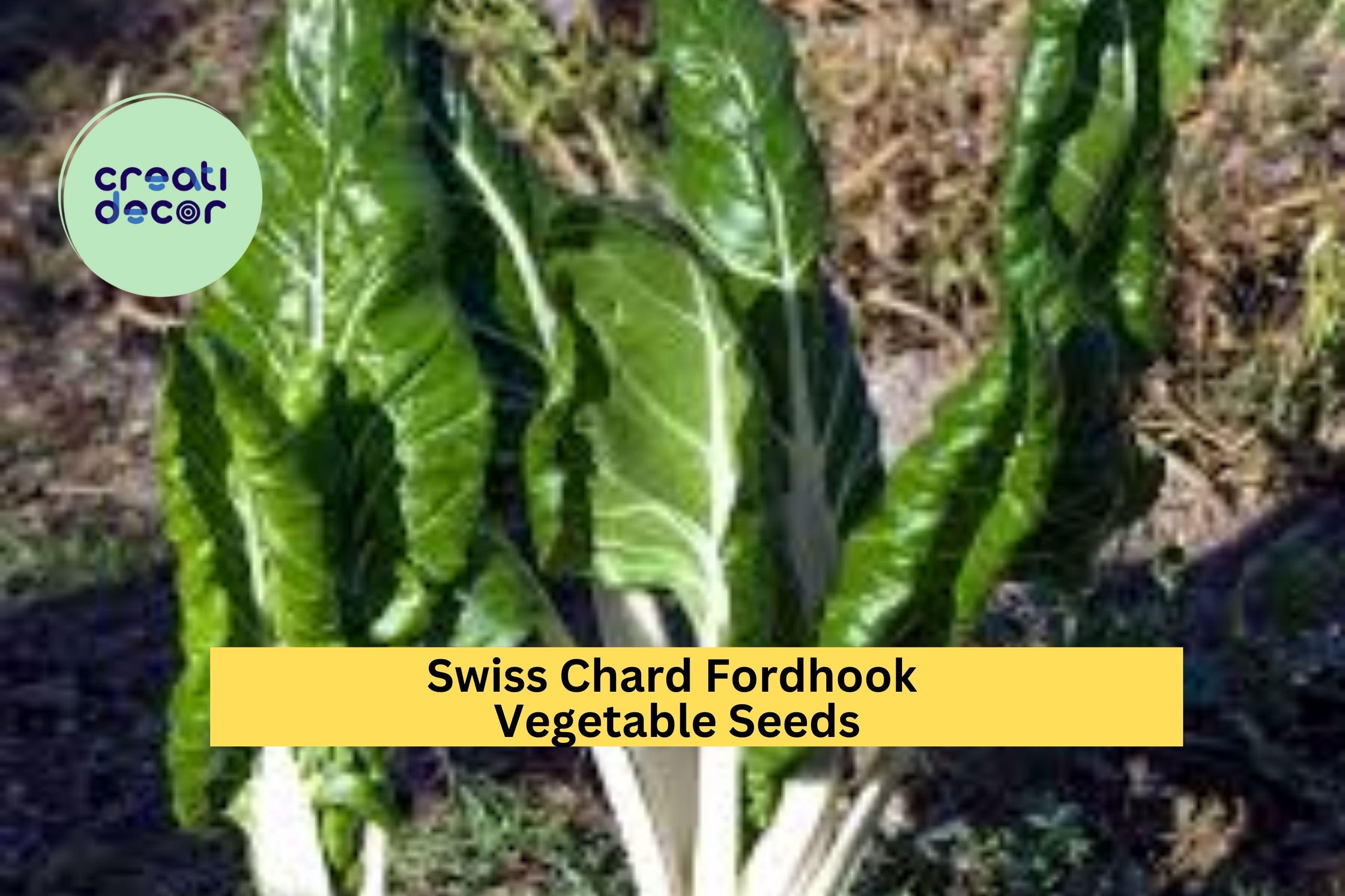 3pcs of 1g Swiss Chard Fordhook Seeds – Leafy Greens for Stir Fry, Soups & Salads, Easy to Grow Cold-Hardy Vegetable Seeds for Planting