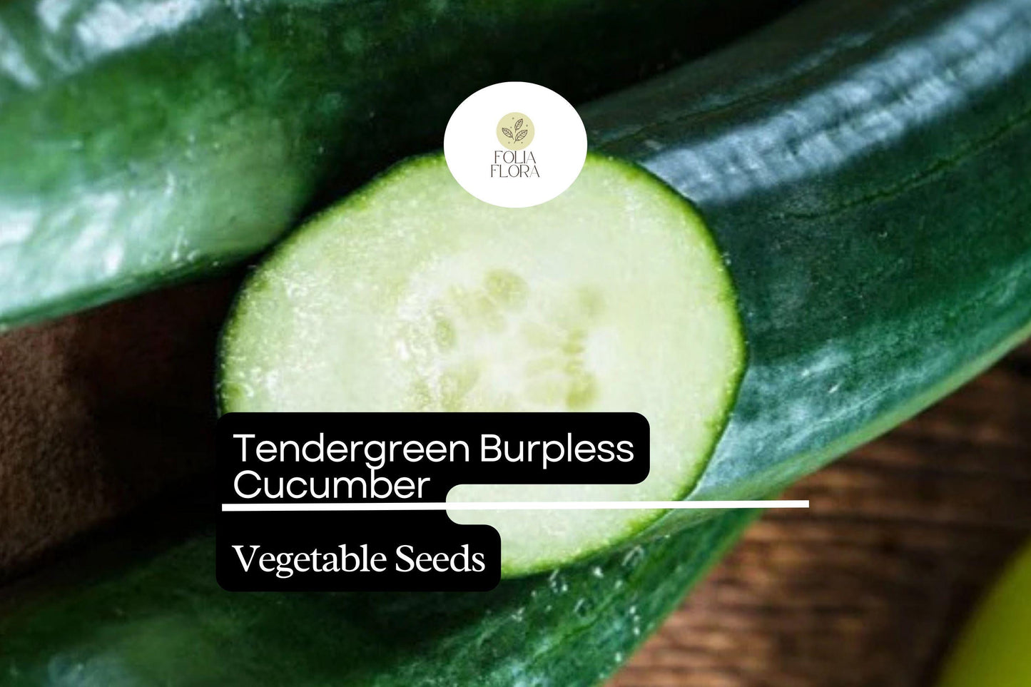 50 Seeds Tendergreen Burpless Cucumber (Cucumis sativus) – Sweet, Non-Bitter, Crisp Garden Favorite for Slicing & Salads