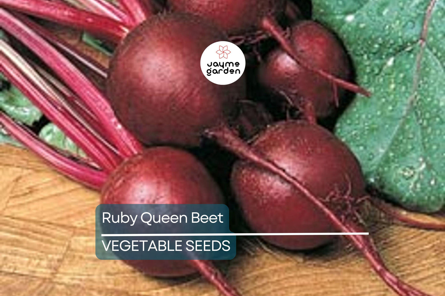 500 Ruby Queen Beet Seeds – Non-GMO Heirloom | Tender & Flavorful | Perfect for Canning | USA Seller