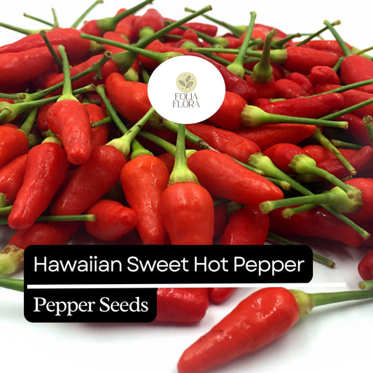 15 Hawaiian Sweet Hot Pepper Seeds – Heirloom, Spicy & Sweet, Non-GMO, High Yield