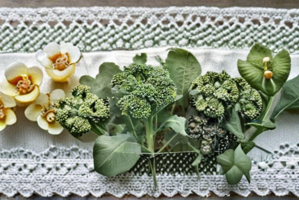 Broccoli – Green Sprouting Calabrese 300 Seeds | Italian Heirloom | Side-Shoot Broccoli | Continuous Harvest Variety
