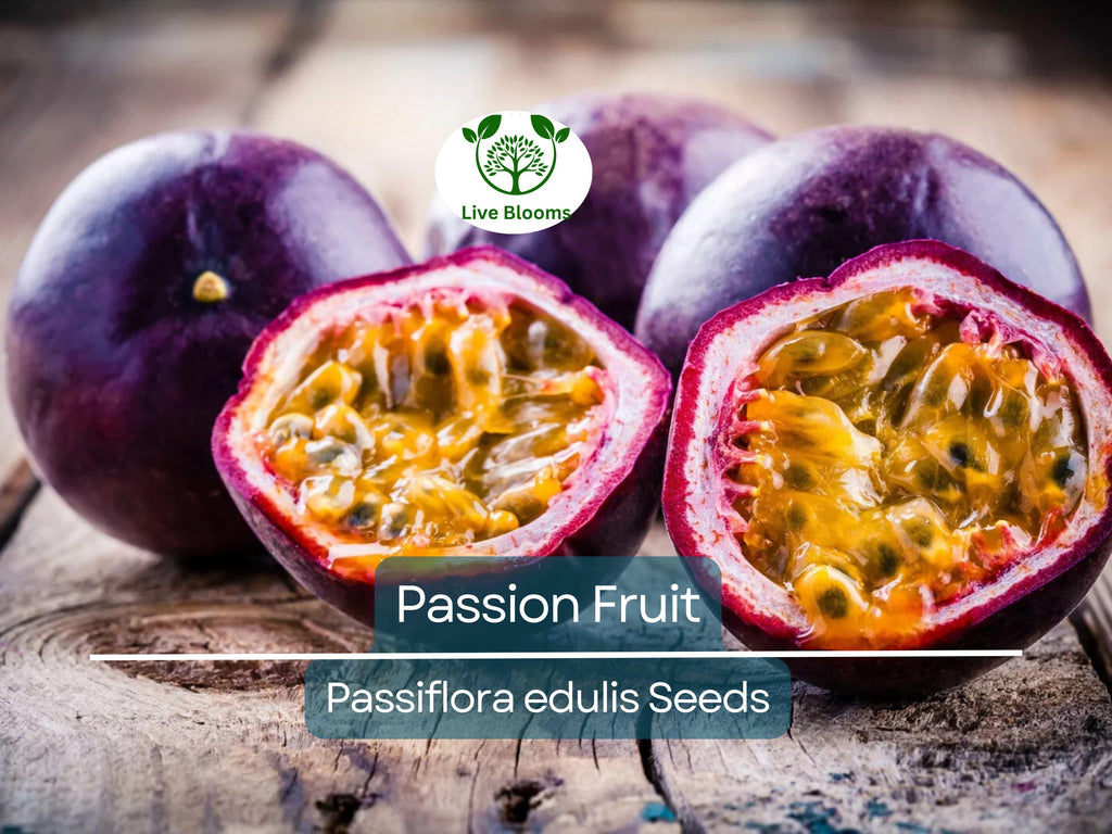 10 Purple Edulis Passion Fruit Seeds | Edible Passionfruit Vine, Fast Growing, Delicious Fruit, Tropical & Hardy