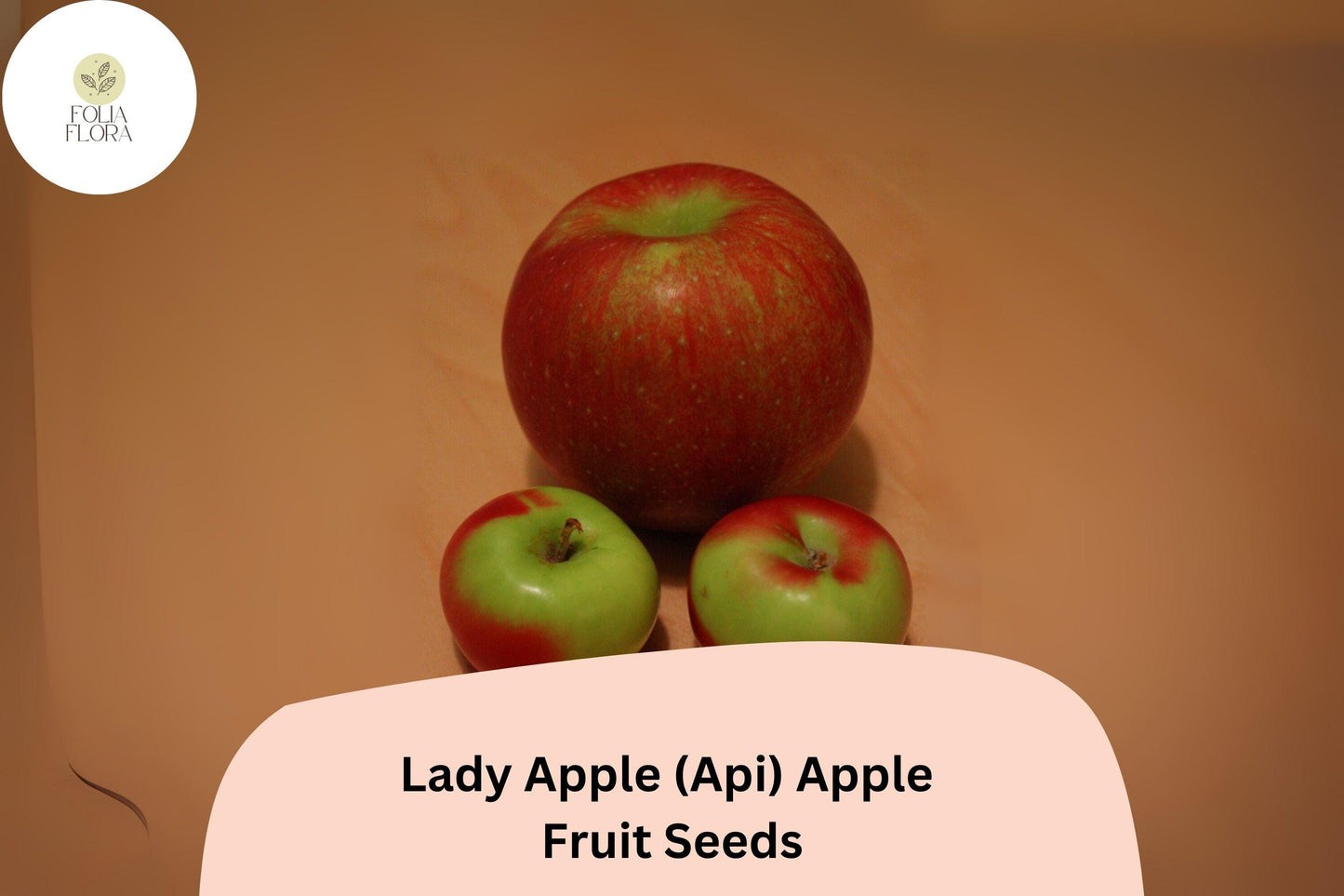 25+ Lady Apple Seeds (Api Variety) | Malus domestica | Miniature Heirloom Apple | Antique French Variety