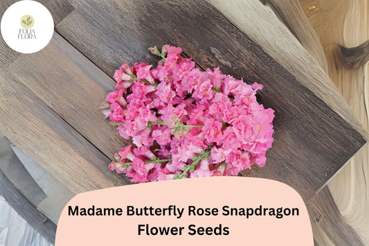 Antirrhinum majus Madame Butterfly Rose Snapdragon Seeds – 1000+ Ruffled Blooms for Garden & Cut Flowers