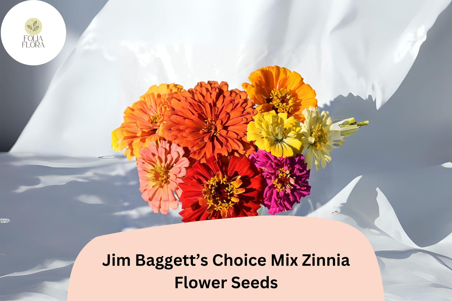 100+ Jim Baggett’s Choice Mix Zinnia Seeds – Tall Colorful Blooms for Cutting & Summer Gardens