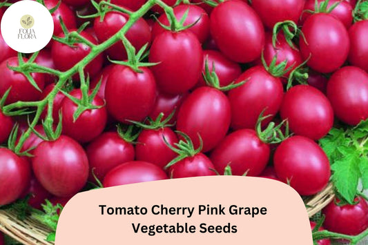 200 Tomato Cherry Pink Grape Seeds | Sweet Grape Tomatoes for Gardens & Pots | Heirloom Variety | Non-GMO | Easy to Grow