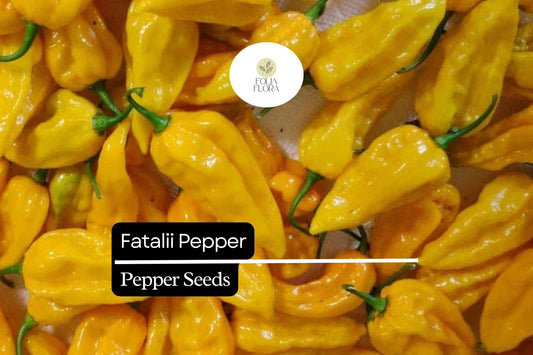 5 Seeds Fatalii Pepper, Capsicum chinense, Rare Fiery Yellow Chili for Exotic Hot Sauces
