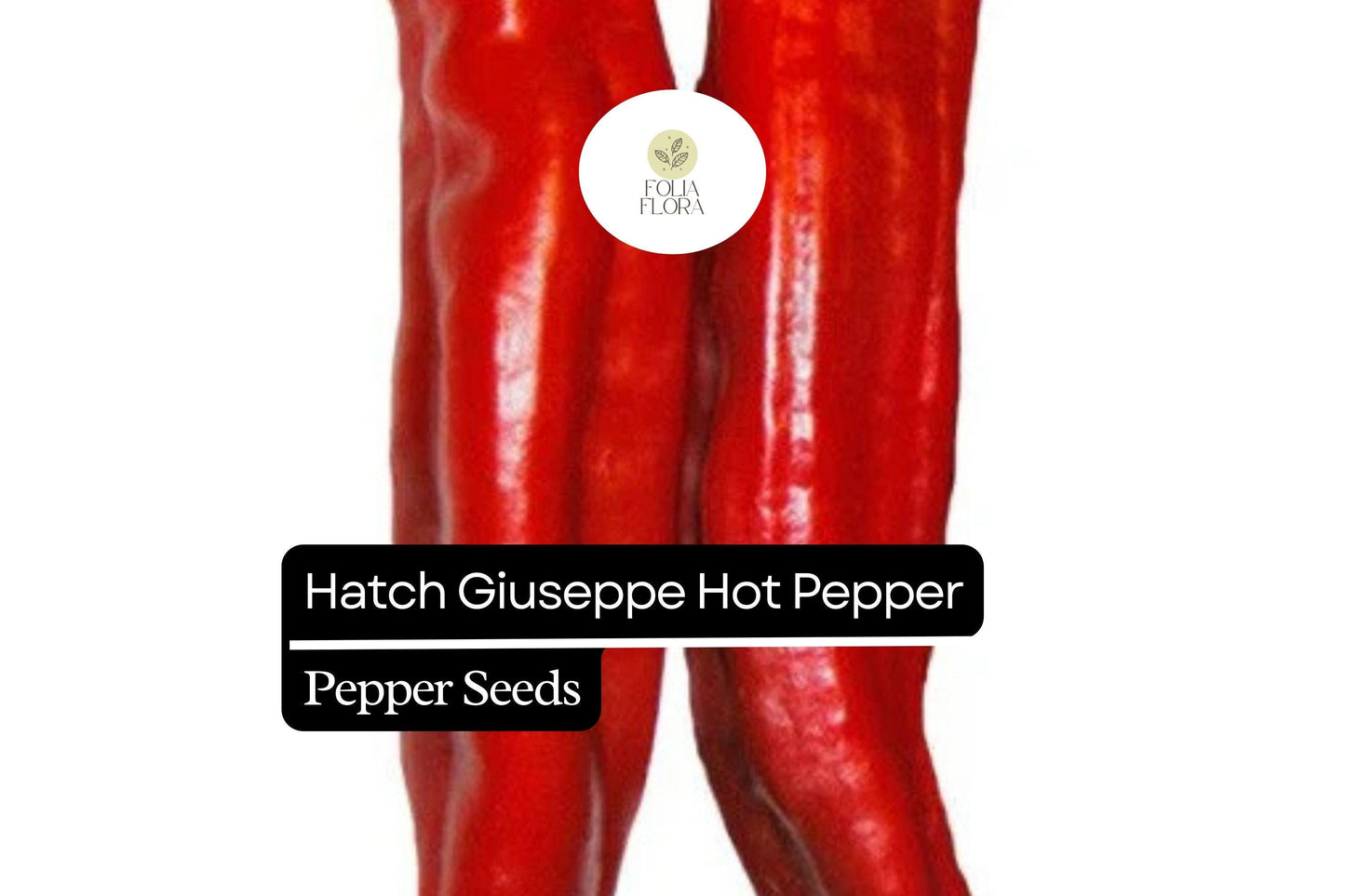 Hatch Giuzeppi Hot Pepper Seeds 250mg | Capsicum annuum | Non-GMO, Medium Heat, Prolific Variety, Perfect for Roasting, Salsas & Sauces