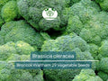 300 Seeds Broccoli Waltham 29 - Brassica oleracea | Heirloom Broccoli Seeds for Planting, Gardening & Delicious Harvests