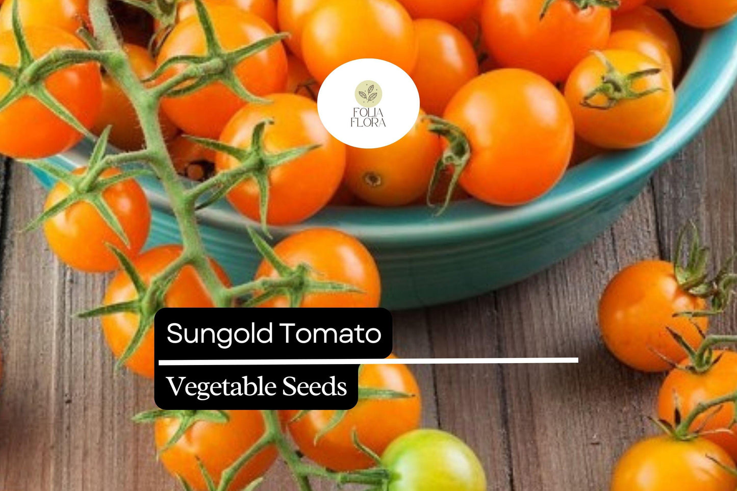 10 Seeds Sungold Tomato (Solanum lycopersicum) - Sweet Cherry Tomatoes | Prolific Hybrid for Gardens & Containers