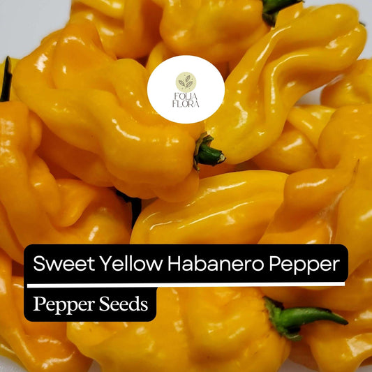 20 Sweet Yellow Habanero Pepper Seeds – Heirloom, Non-GMO, No Heat, Fruity Flavor