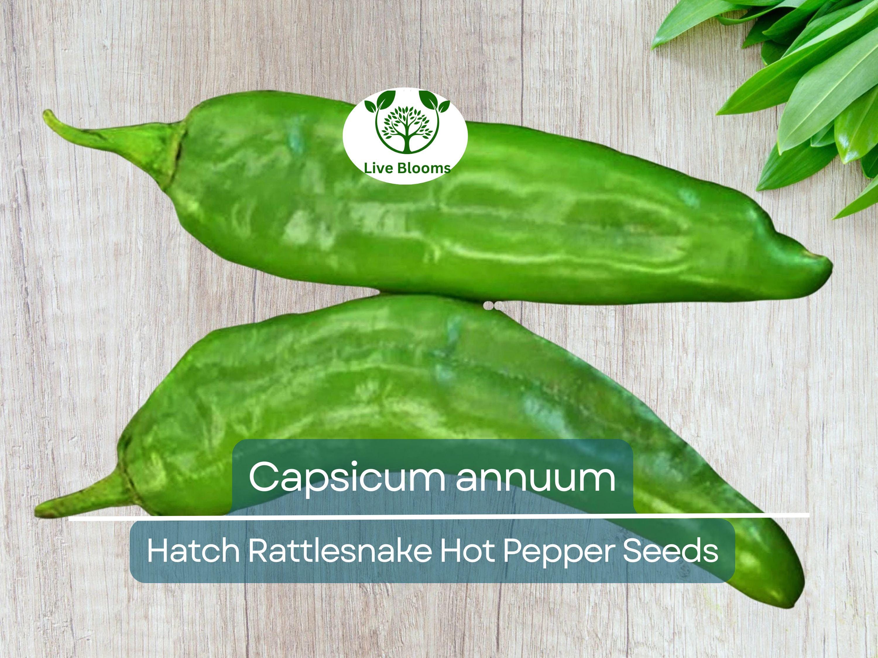 250 mg Seeds Hatch Rattlesnake Hot Pepper – Capsicum annuum | Heirloom Chili for Planting, Gardening & Bold Spicy Flavor