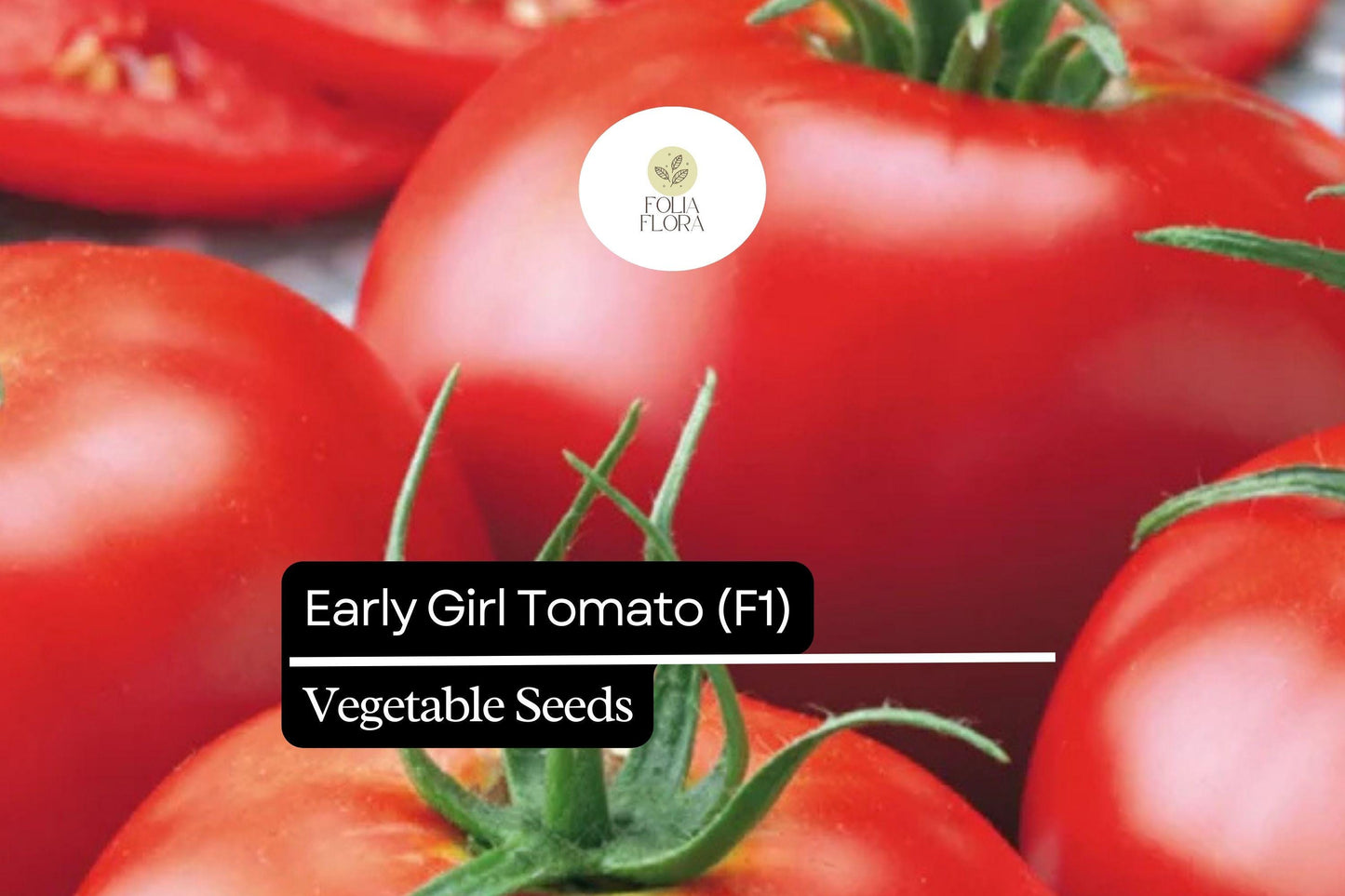 10 Seeds Early Girl Tomato (F1 Hybrid) – Fast-Maturing, Sweet, and Juicy Tomato Variety