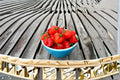 Habanero – Caribbean Red Hot Pepper 25 Seeds | Extremely Hot Pepper | Fruity Caribbean Flavor | Super Hot Chili