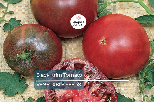 100 Black Krim Tomato Seeds – Non-GMO Heirloom, Bold Flavor, Indeterminate, Free Shipping