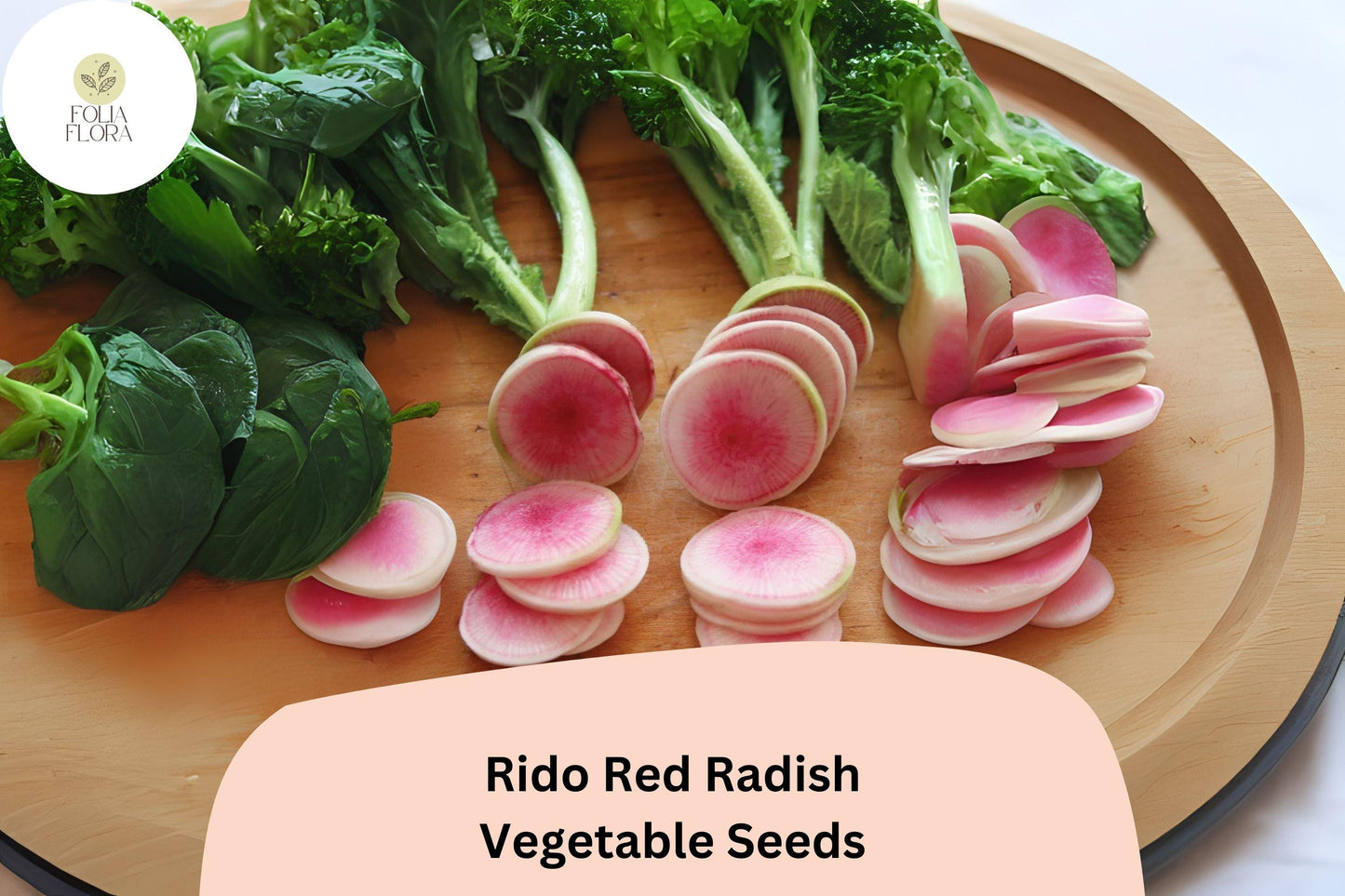 500+ Rido Red Radish Seeds – Heirloom Round Red Radish for Garden Planting