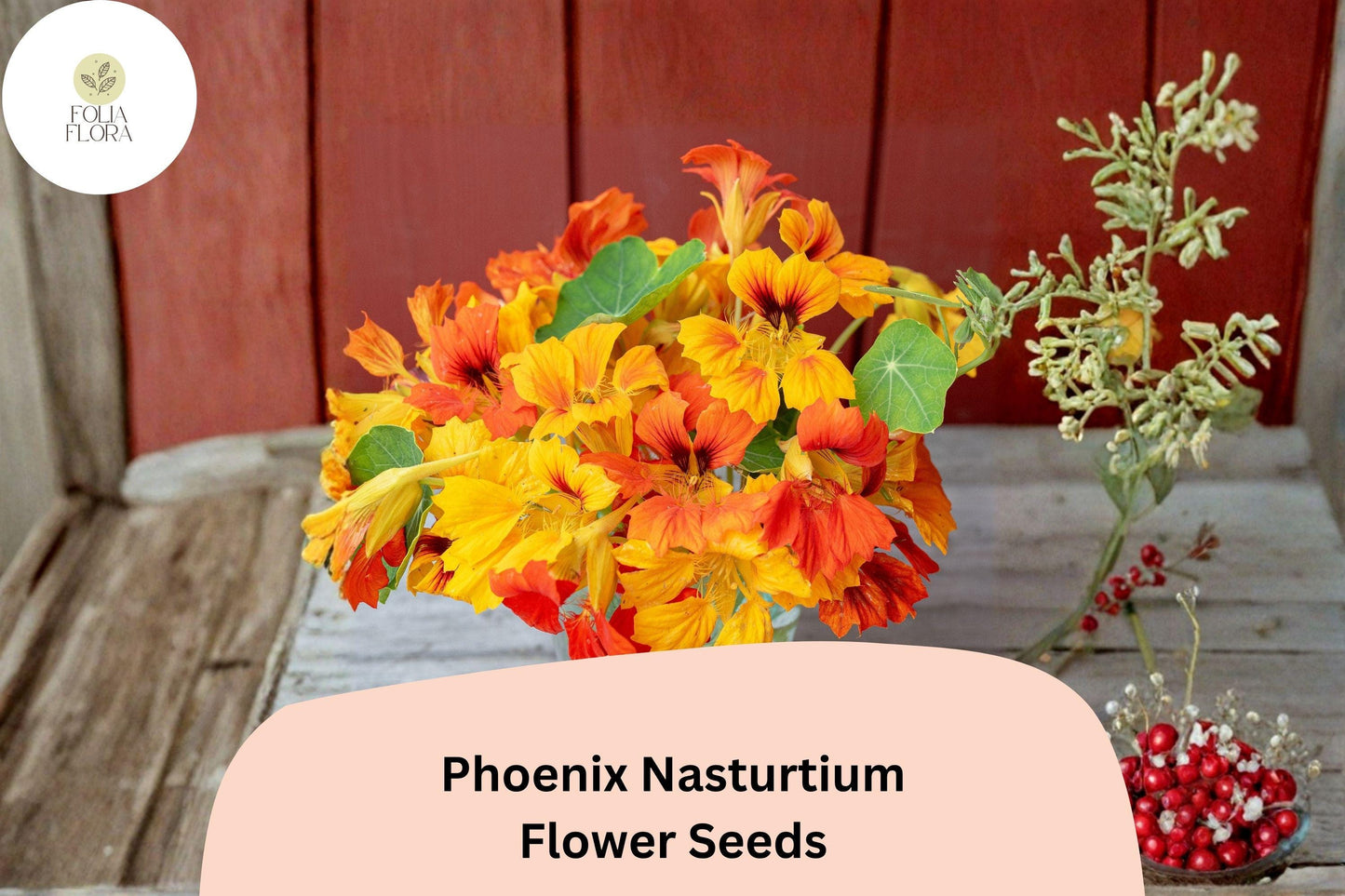 50+ Phoenix Nasturtium Seeds | Tropaeolum majus | Frilled Red-Orange Blooms | Unique Climbing Annual for Garden