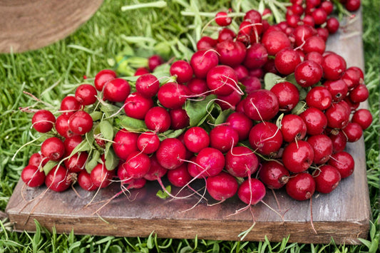 Radish – Cherry Belle 80 Seeds | Classic Red Radish | Crisp & Mild | Fast-Growing Garden Favorite