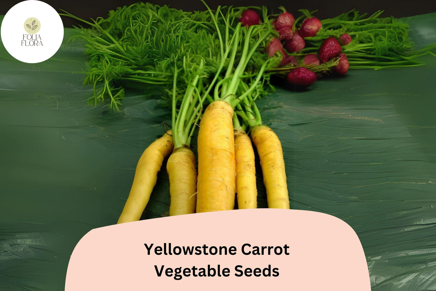 1000+ Yellowstone Carrot Seeds – Heirloom, Sweet & Tender Yellow Carrots
