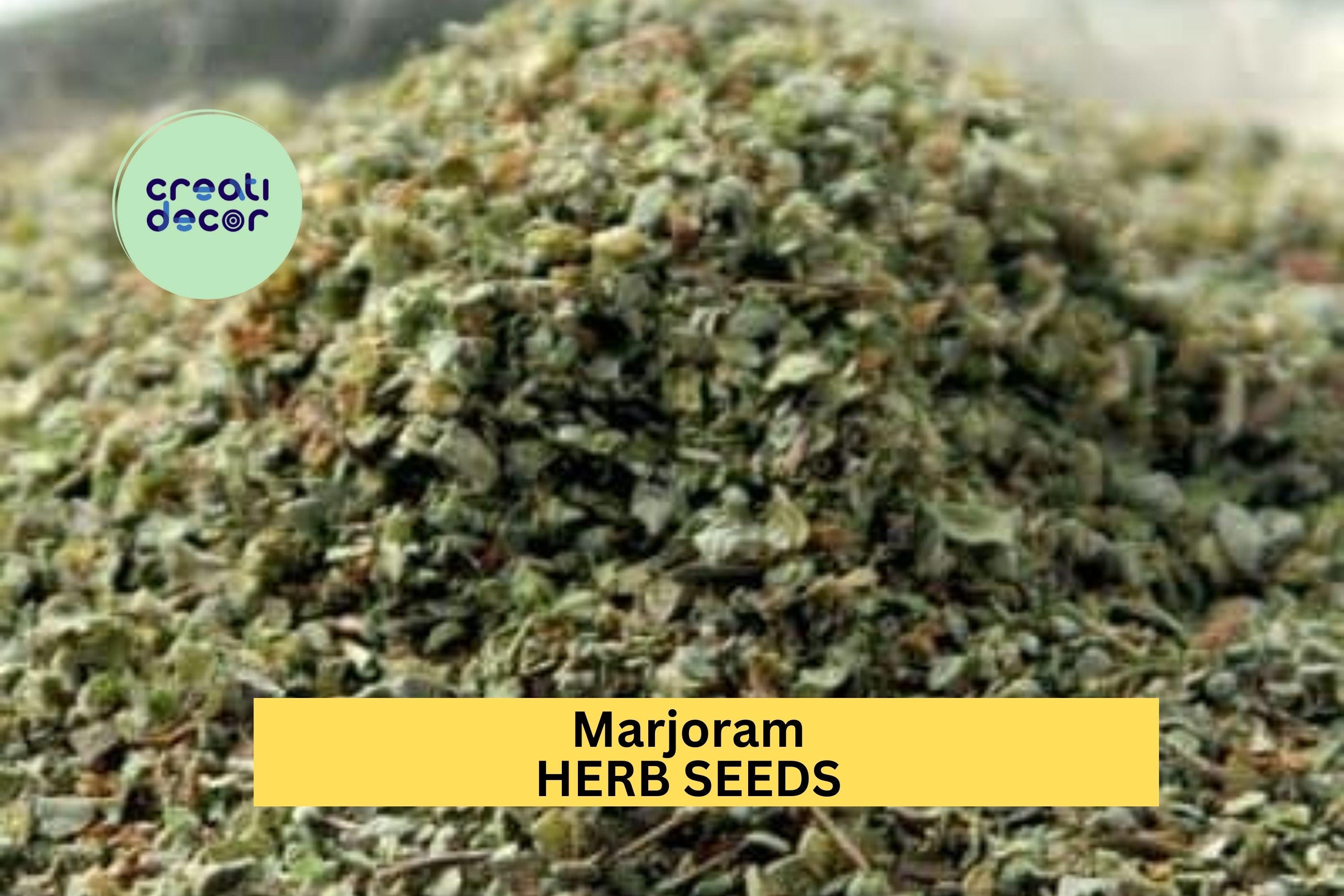 3pcs of 100mg Marjoram Seeds – Sweet Aromatic Herb for Culinary Use, Container Gardening, and Home Herb Gardens Seeds for Planting