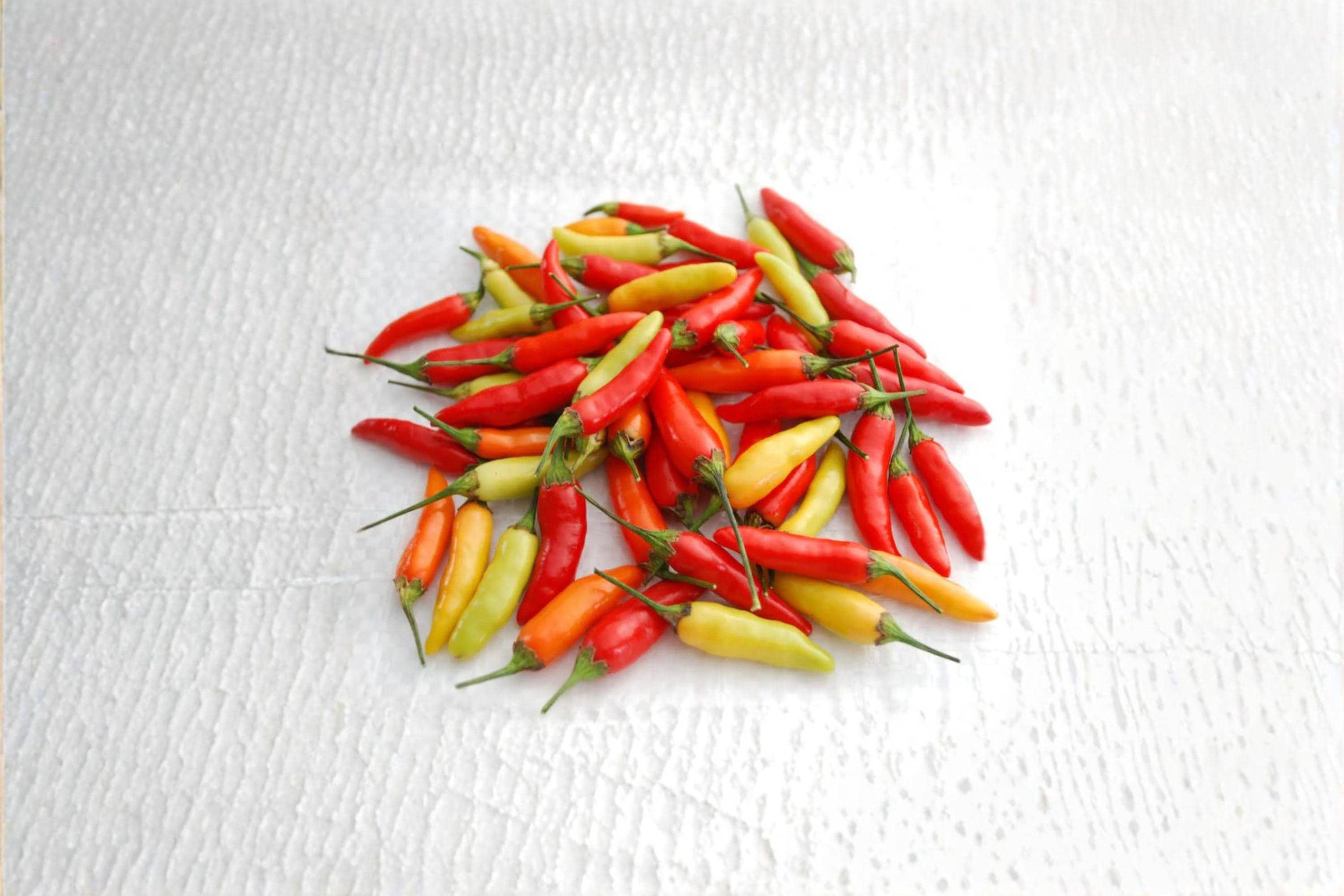 Tabasco – Hot Pepper 25 Seeds | Classic Sauce Pepper | Very Hot | Authentic Louisiana Chili