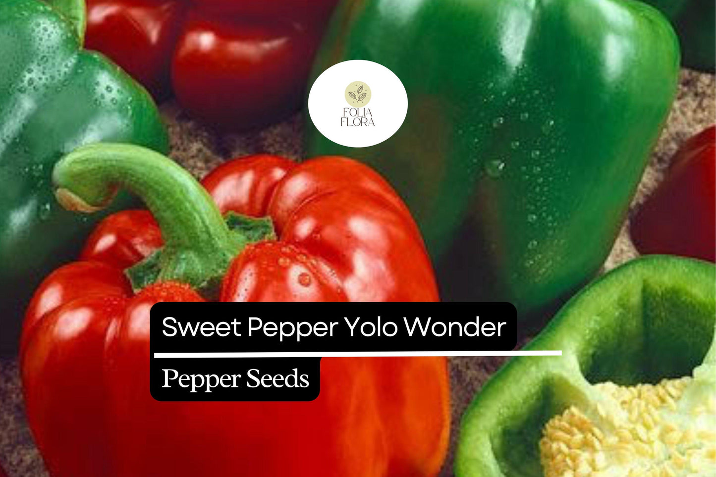 25 Sweet Yolo Wonder L Pepper Seeds – Capsicum annuum – Red Bell Pepper, Heirloom, Non-GMO, Sweet & Crisp Flavor